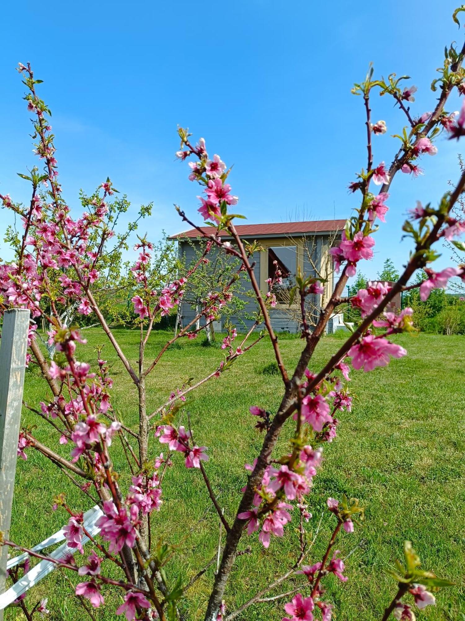 Namelis Karkleje Villa Bagian luar foto
